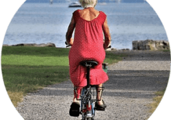electric bikes for seniors